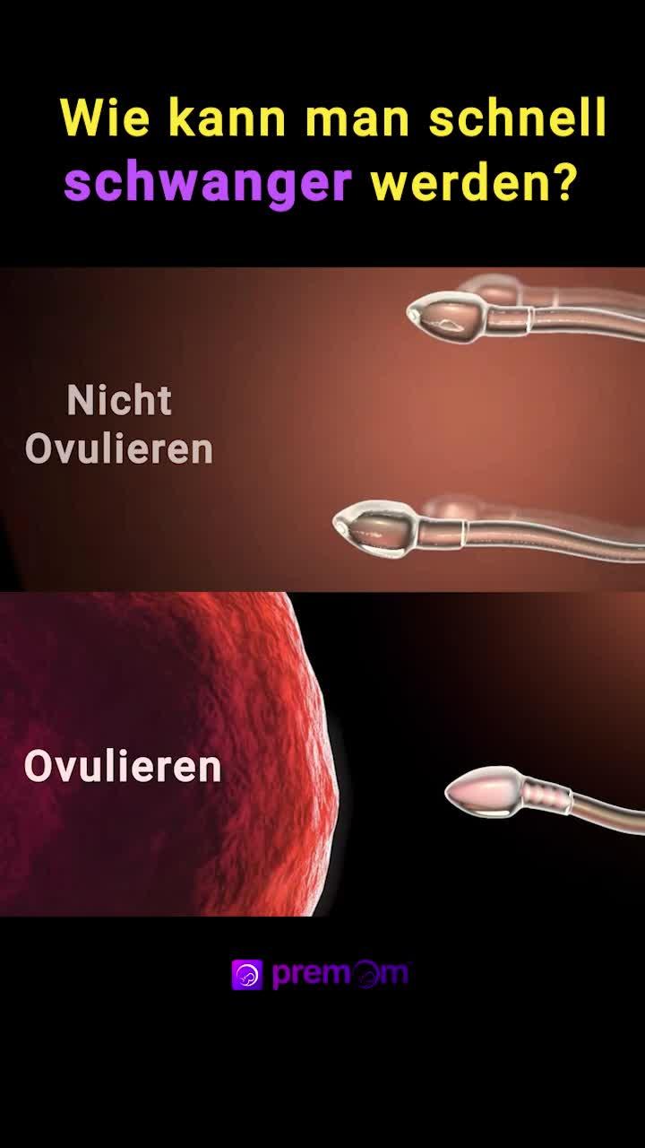 Erhöht Ihre Chance auf eine Schwangerschaft