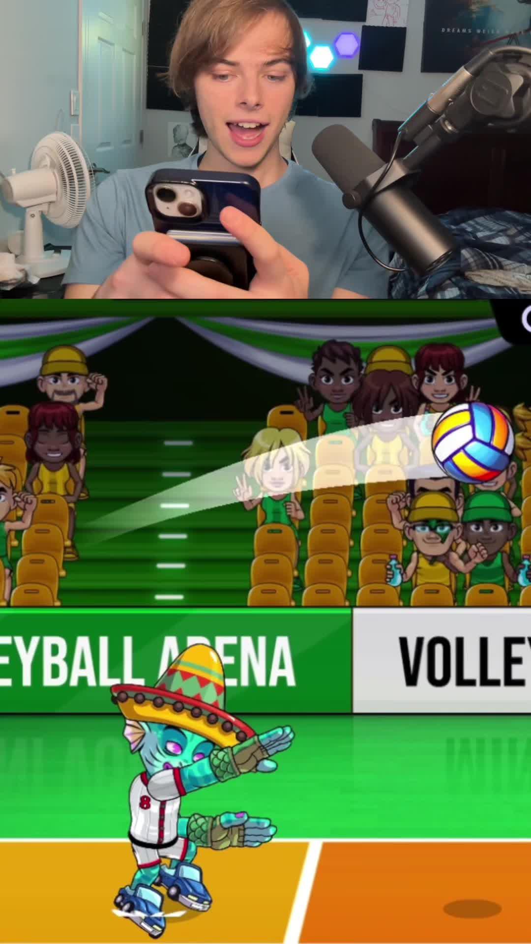 Download Volleyball Arena Now