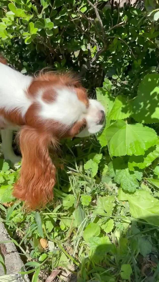 Free time part-time income