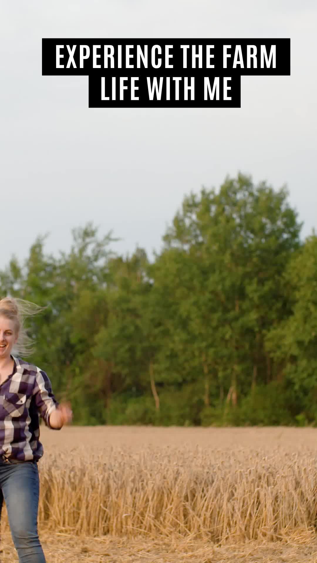 We REALLY like cows too!