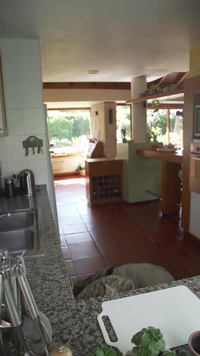 Play Call of Duty®: Mobile!