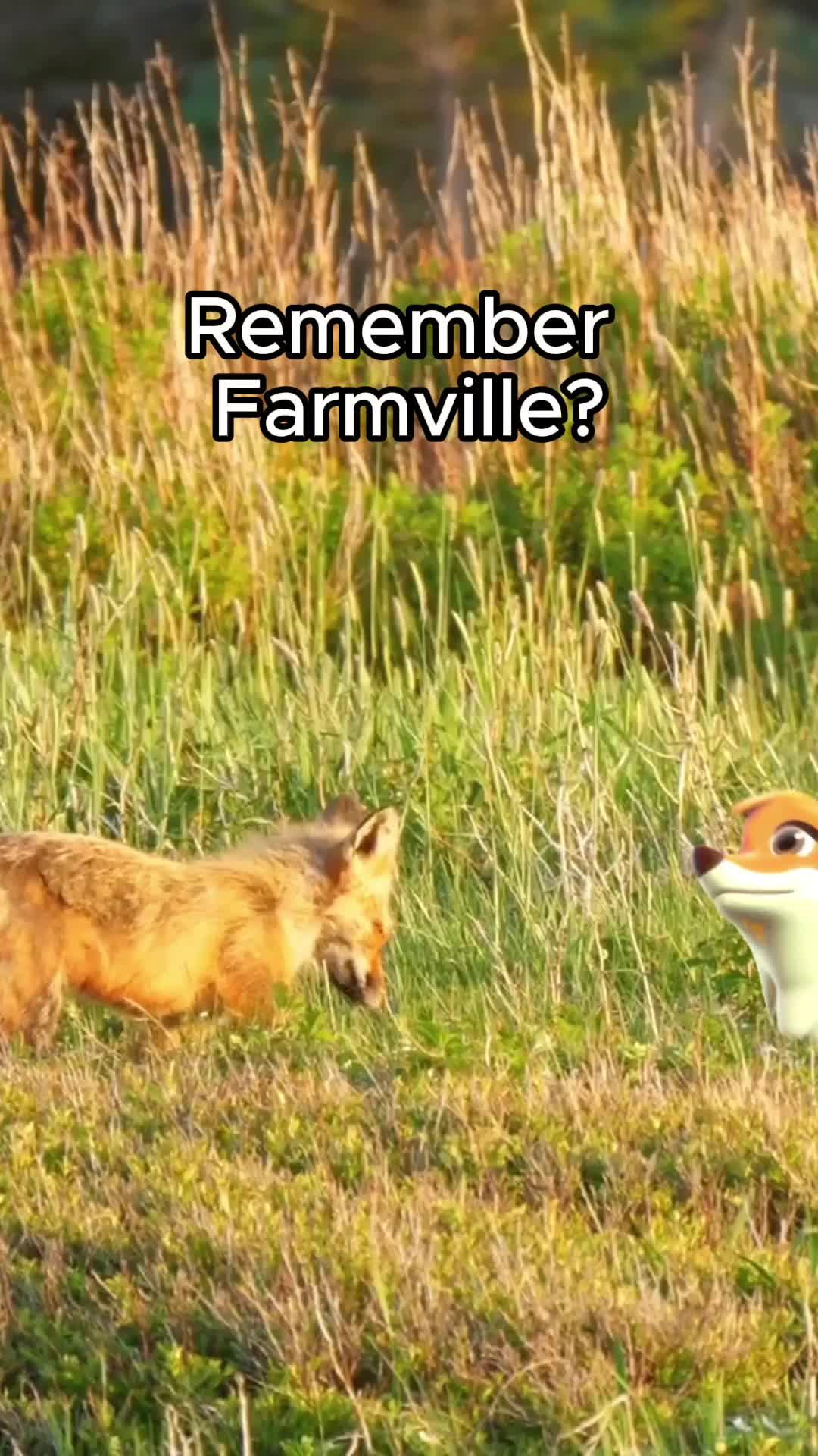 Raise Beautiful Babies.