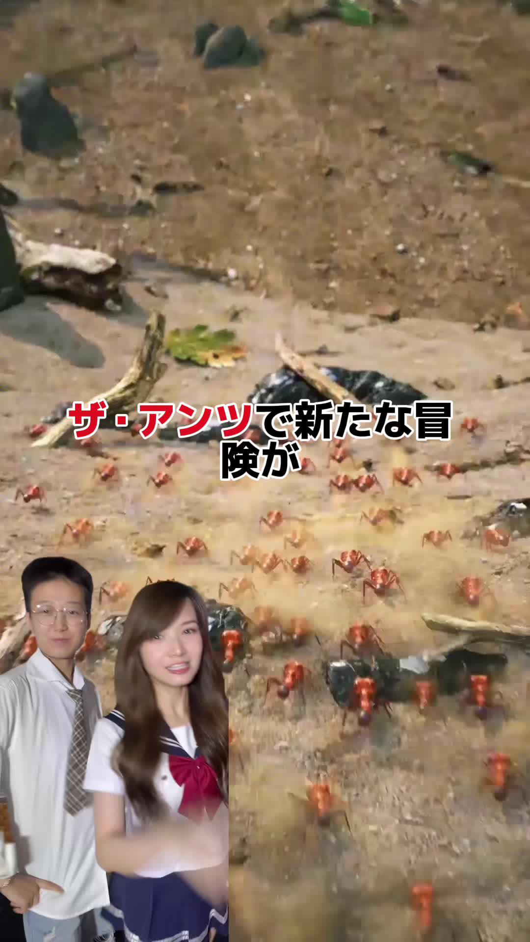 あなたのアリ帝国を築き上げろう