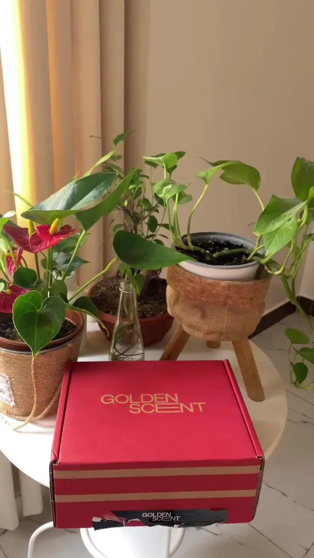 اكتشف أقوى العروض على العطور عندك قولدن سنت. اضغط هنا!