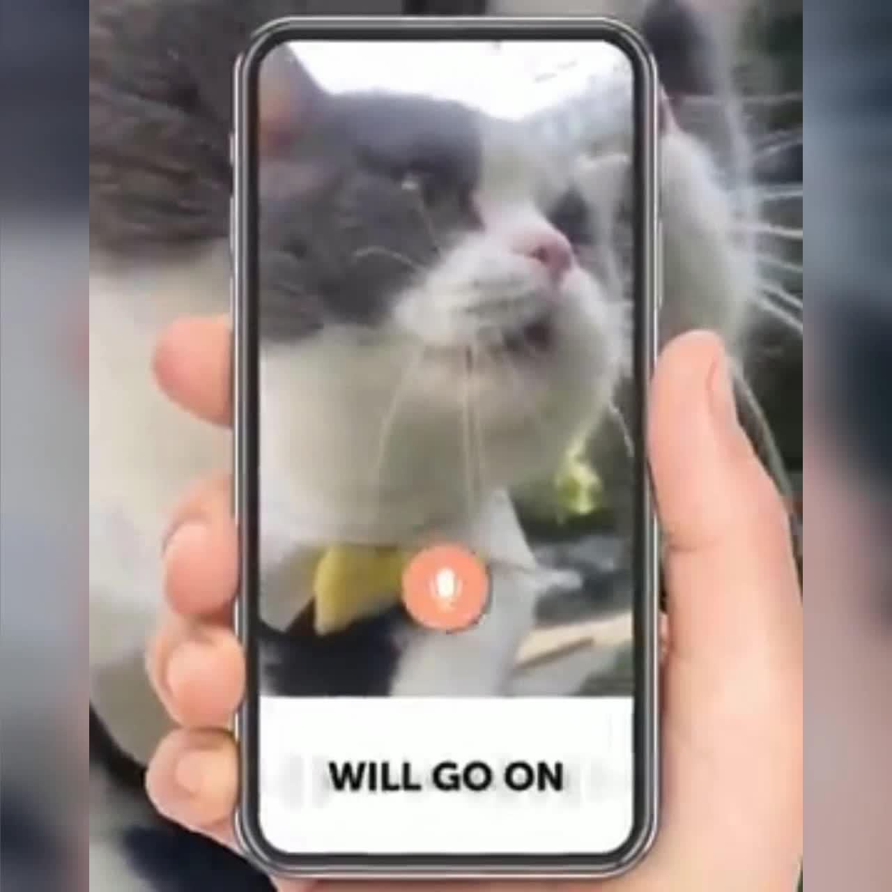 download immediately