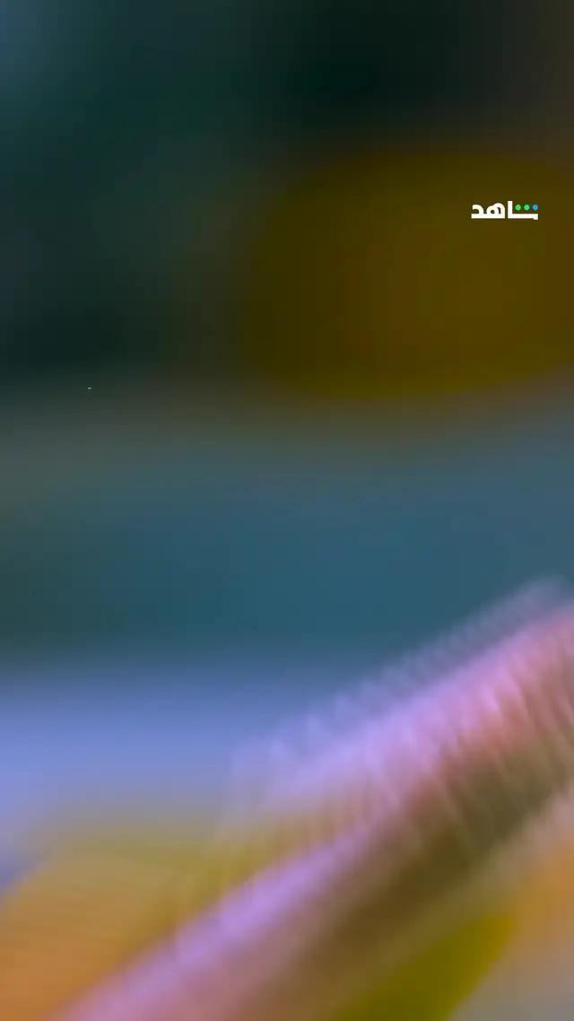 دوري أبطال آسيا على شاهد