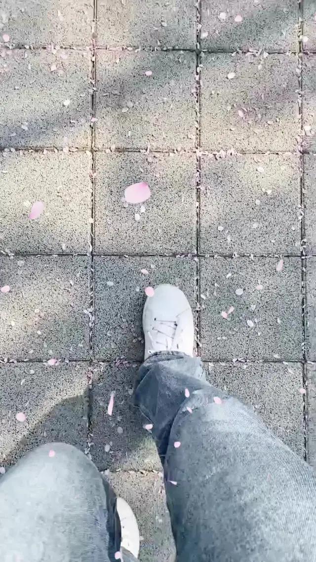 【癒し系ゲーム アビスリウム】新生活に疲れたあなたに！