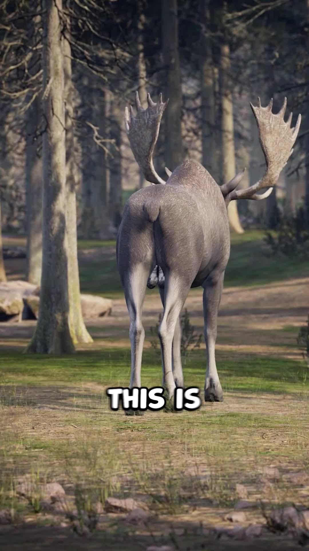 Free gift code:deerhunter