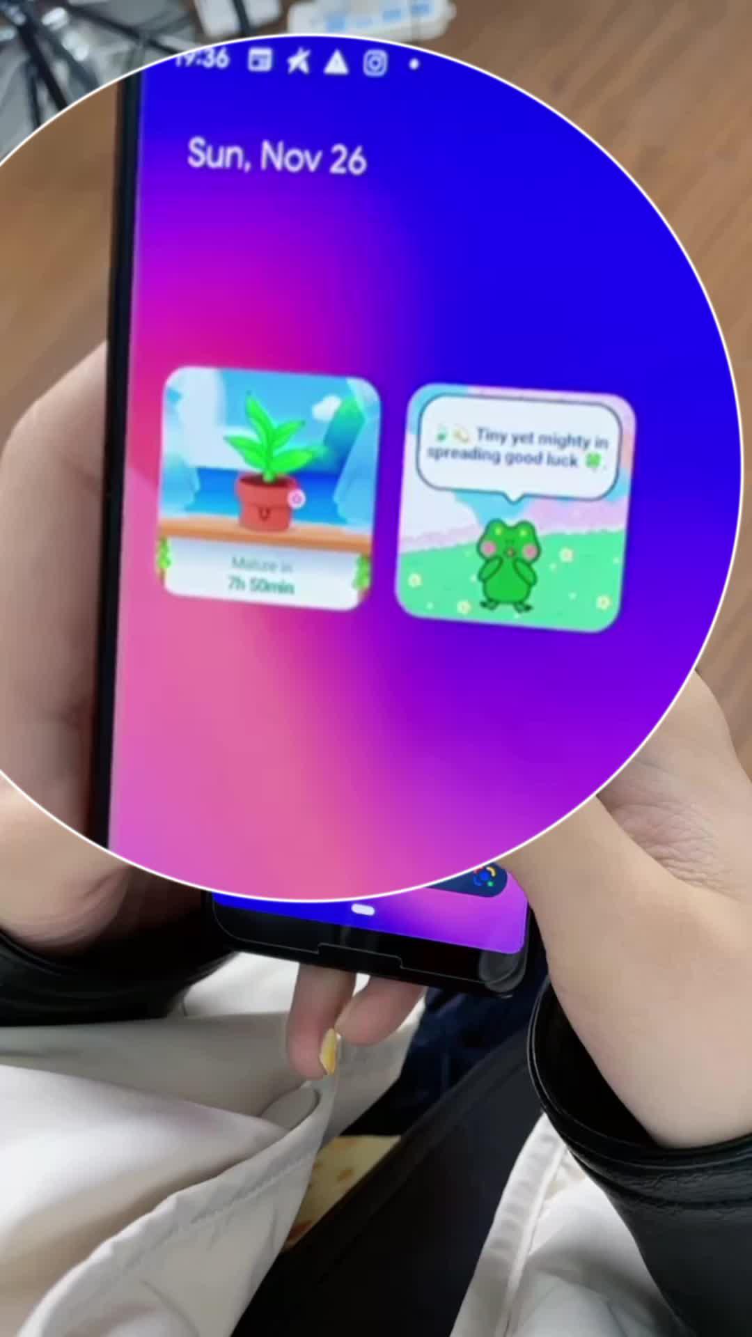 Raise a pet on your phone