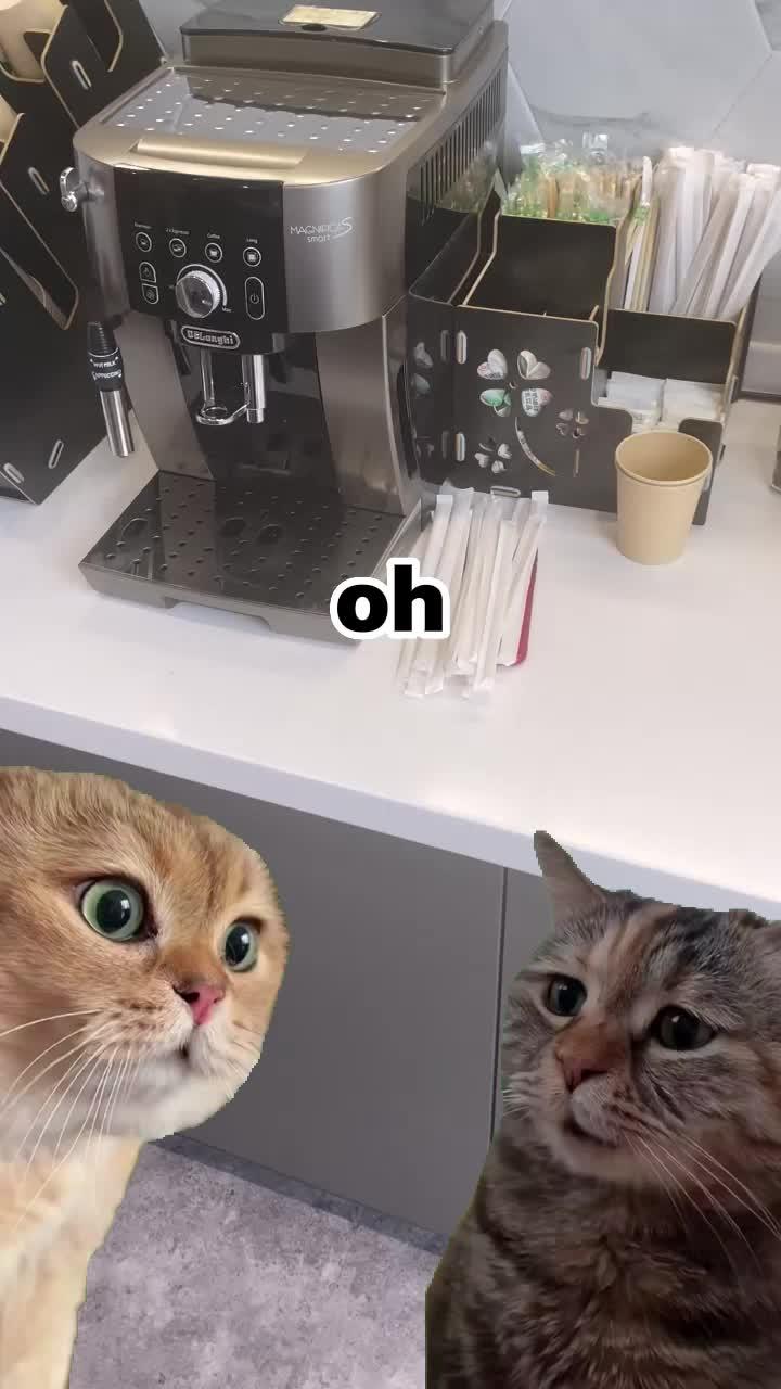 Set exclusive  keyboard& themes for your Phone!