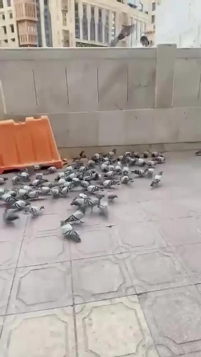 حمل تطبيق الإهداء الذكي، وساهم في الخير