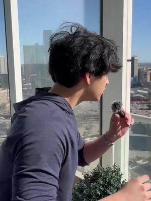 Local insights, zero cost! Tune in to your town's heartbeat for free.