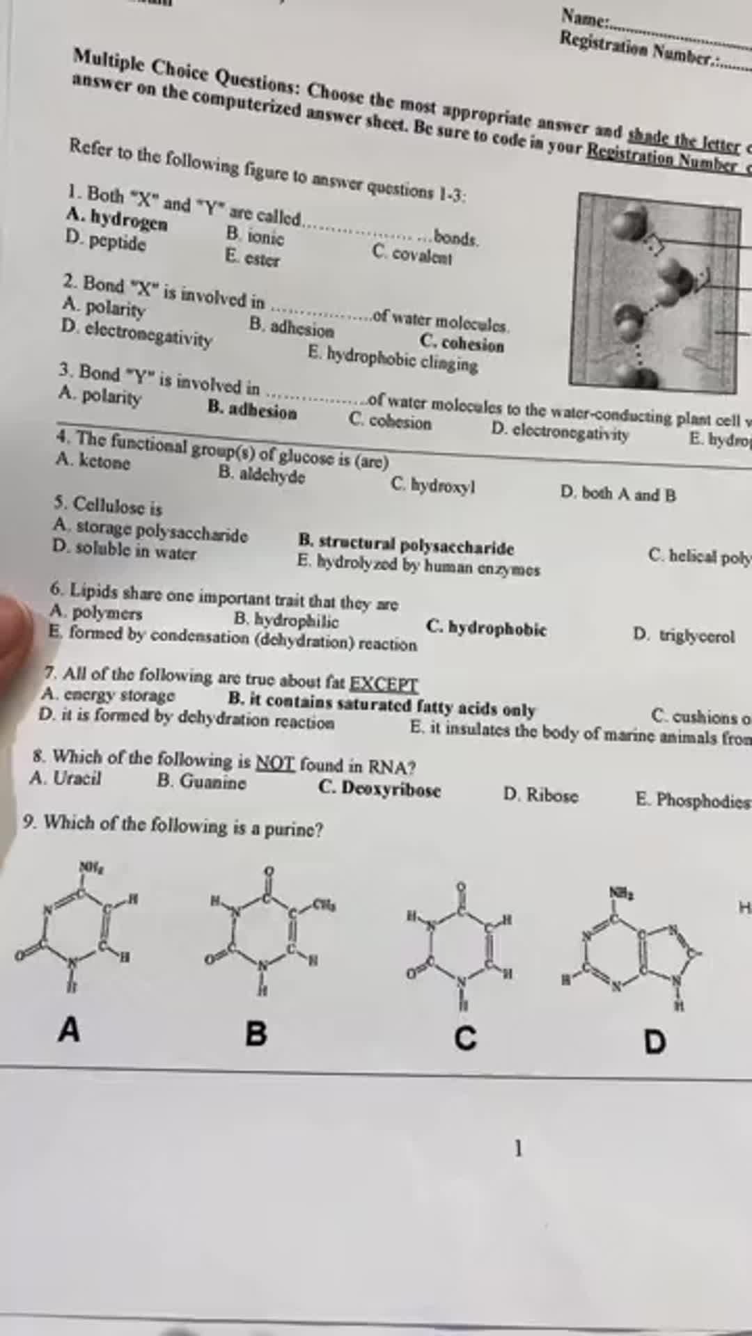 Get 24/7 online learning assistance. Download now!