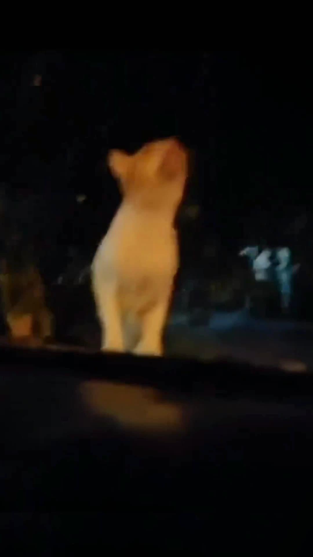 Play Beatstar NOW FREE!