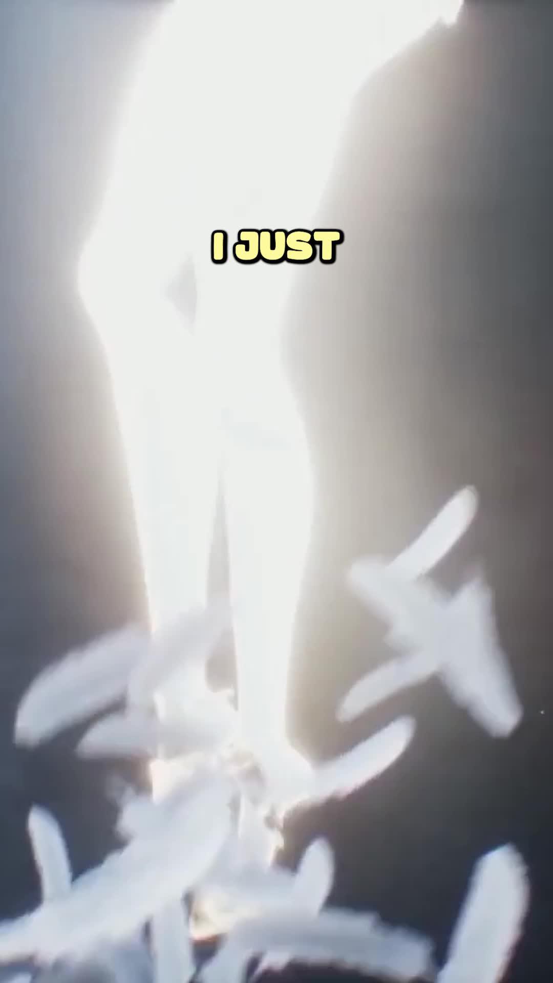 Best Benifits in the MU Series