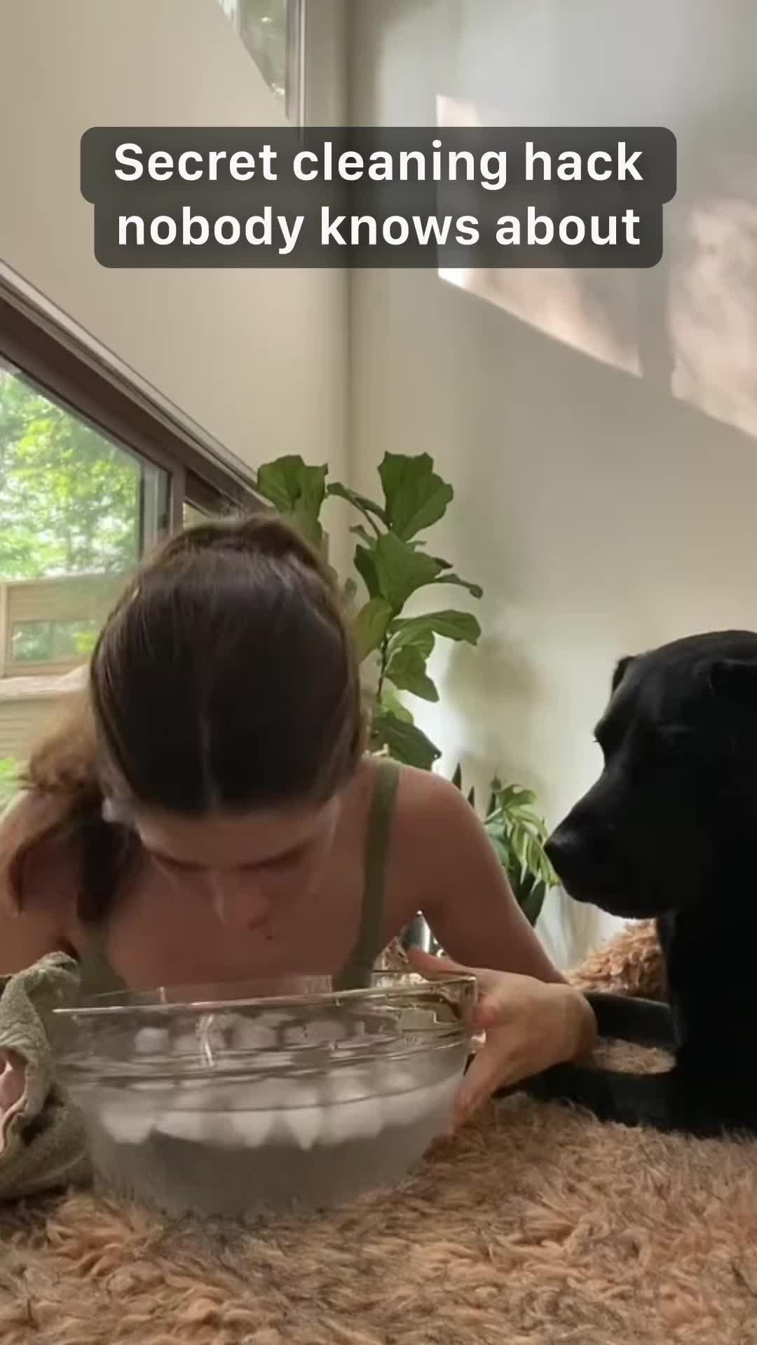 Stay Organized and Achieve More with Mindway!