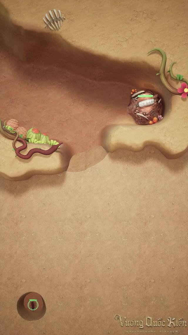 Chấn hưng thế giới kiến của bạn