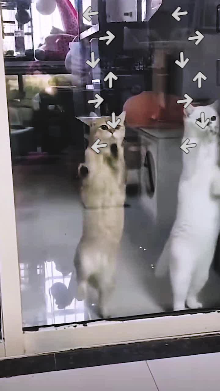 Move them all and win!