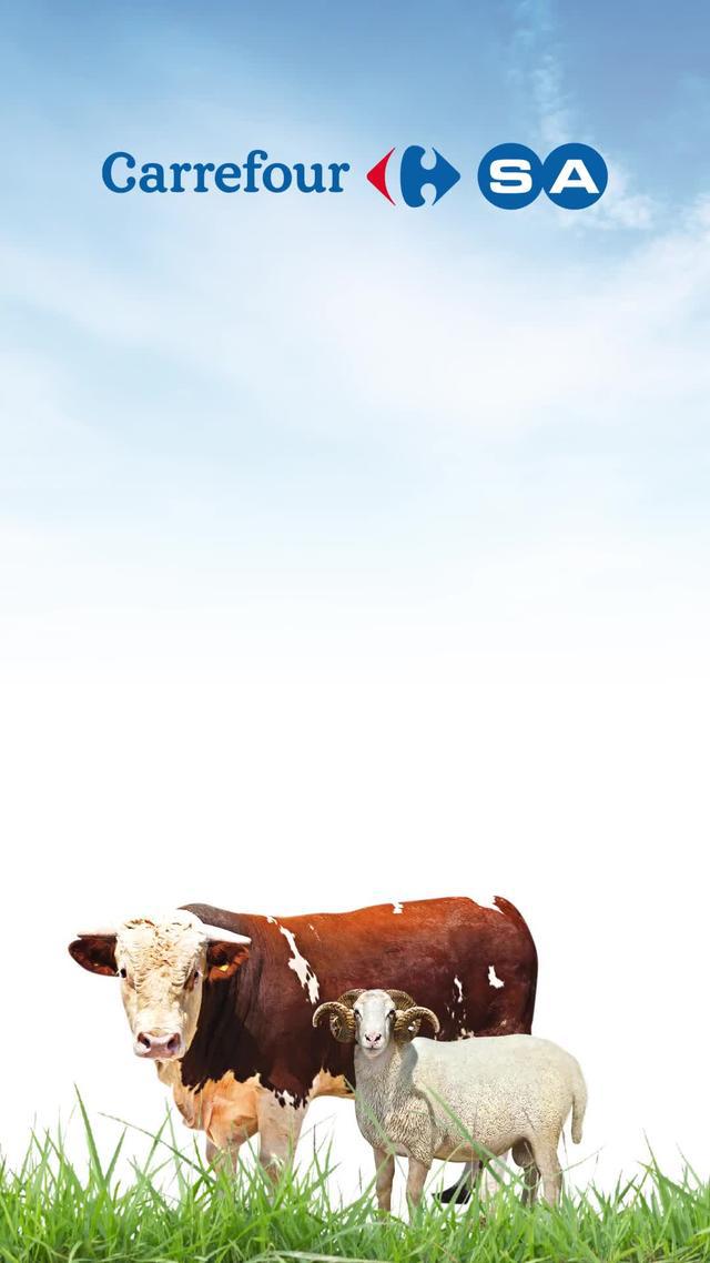 Kurbanda Doğru Adres CarrefourSA Online Market. Sipariş Verin, Ücretsiz Kapınıza Gelsin!