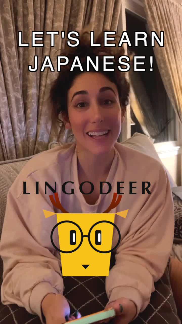 Learn a new language fast and easy! Teach your self with LINGODEER! Download now!