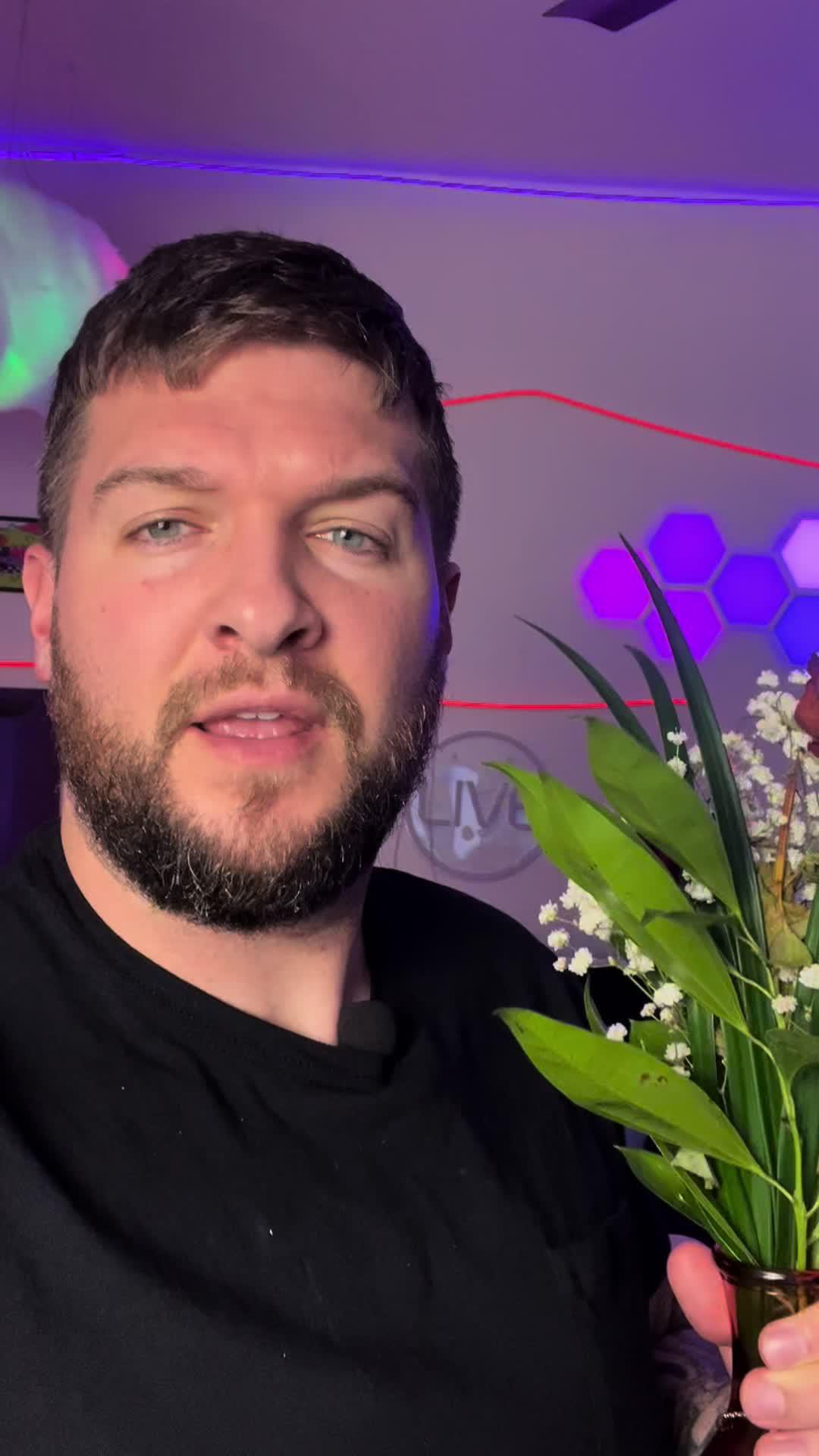 Identify any plant & diagnose plant diseases instantly!