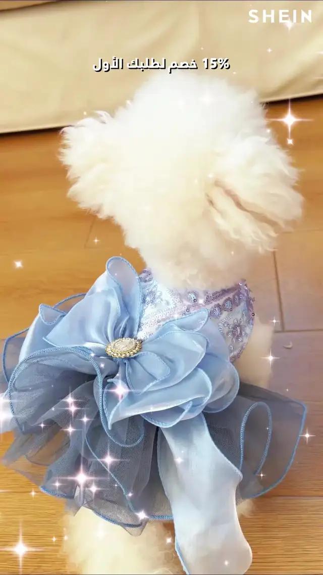 حيواناتك الأليفة ستحب هذا