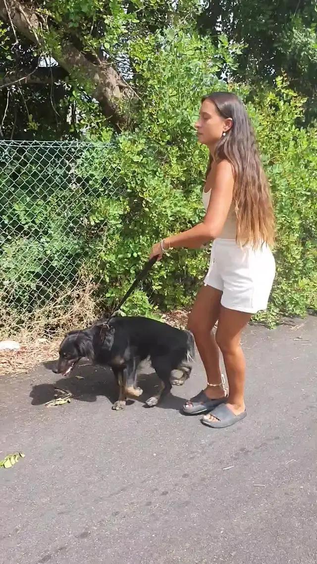 Für alle Hundefreunde geeignet :)