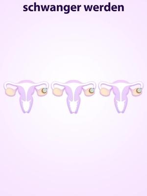 Erhöht Ihre Chance auf eine Schwangerschaft