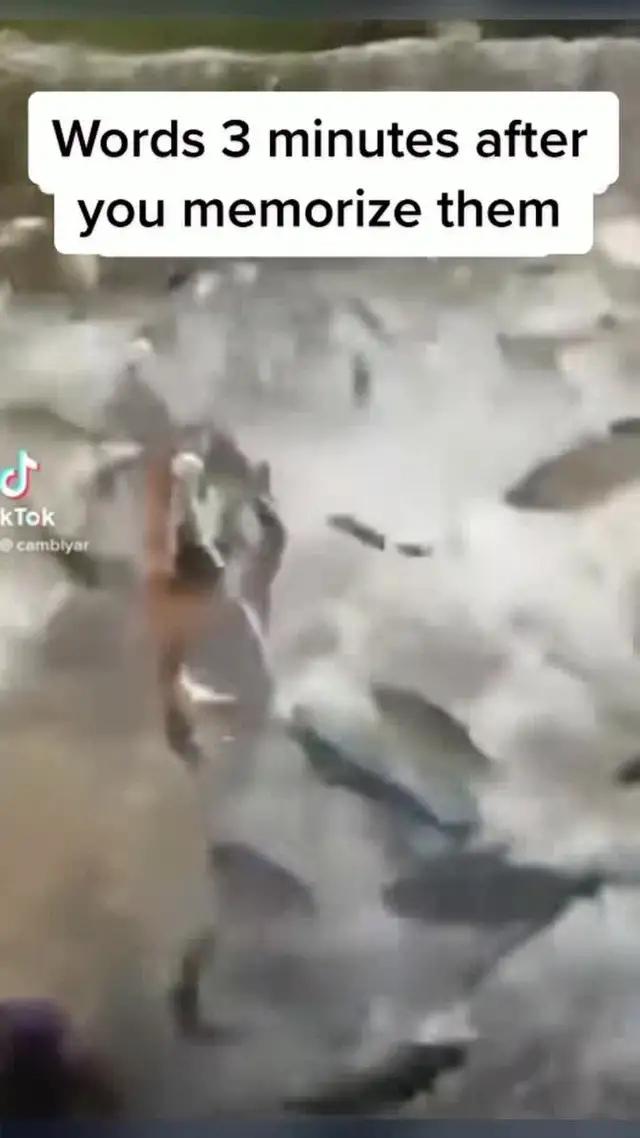 Memorizing words doesn't always work, practice English with Cambly now!. Use code: tiktok01