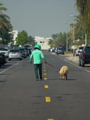 Make Eid easy with Quik. Tap to order your Udhiya meat, delivered fresh and ready to cook.