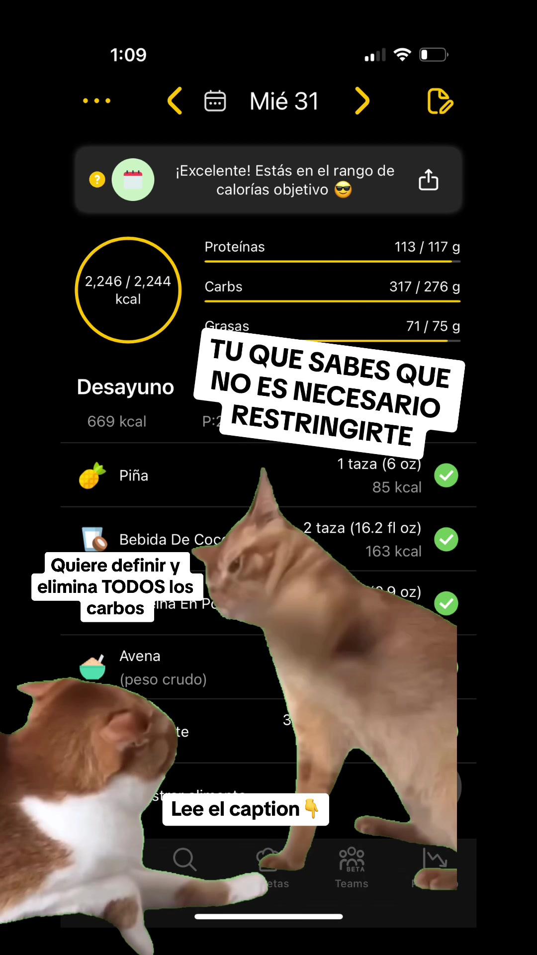 Trackea tus macros u obtén un plan SIN RESTRINGIRTE en el link del perfil 📲🔥 Y recuerda: NO es necesario que elimines ningún nutriente si tu objetivo es perder grasa ❌ Lo que realmente necesitas es crear un DÉFICIT CALÓRICO, es decir, consumir menos calorías de las que gastas durante el día y esto se puede lograr incluyendo todo tipo de alimentos.  De hecho, la evidencia ha demostrado que mientras se logre el déficit ningún tipo de “dieta” es superior al otra a la hora de perder grasa y que lo más importante para el éxito en la pérdida de grasa es la ADHERENCIA y esto solo se podrá lograr cuando encuentras un plan que se adapte a tu estilo de vida y no te suponga tanto sacrificio (como mayormente sucede cuando eliminas todo un grupo de alimentos) ☝️ ✅ En Fitia podrás obtener un plan para perder grasa a tu medida, con los alimentos que te gustan y sin restringirte. Descárgala gratis en el link del perfil! #carbohidratos #memegato #deficit   #CapCut
