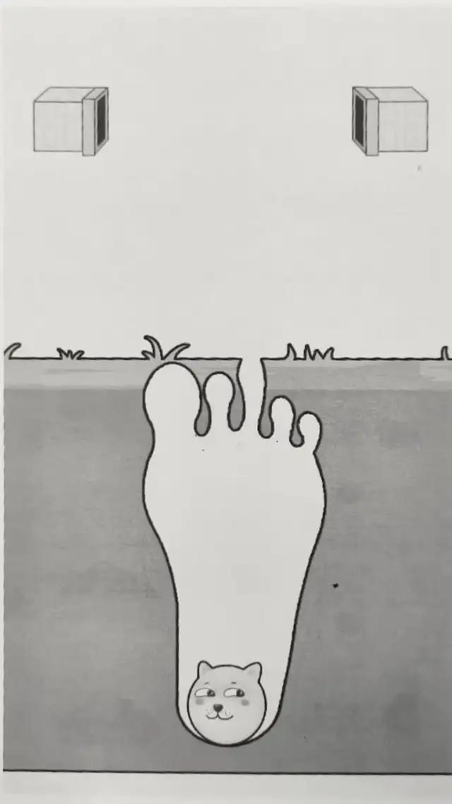 How many levels can you pass?