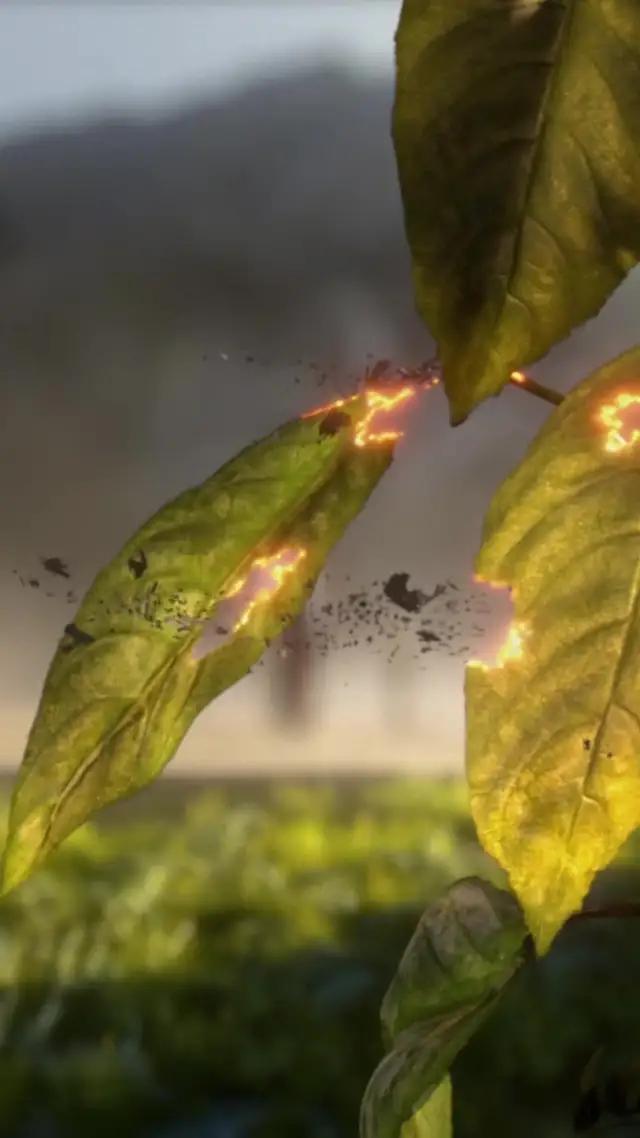 Fantasy Turn-based RPG