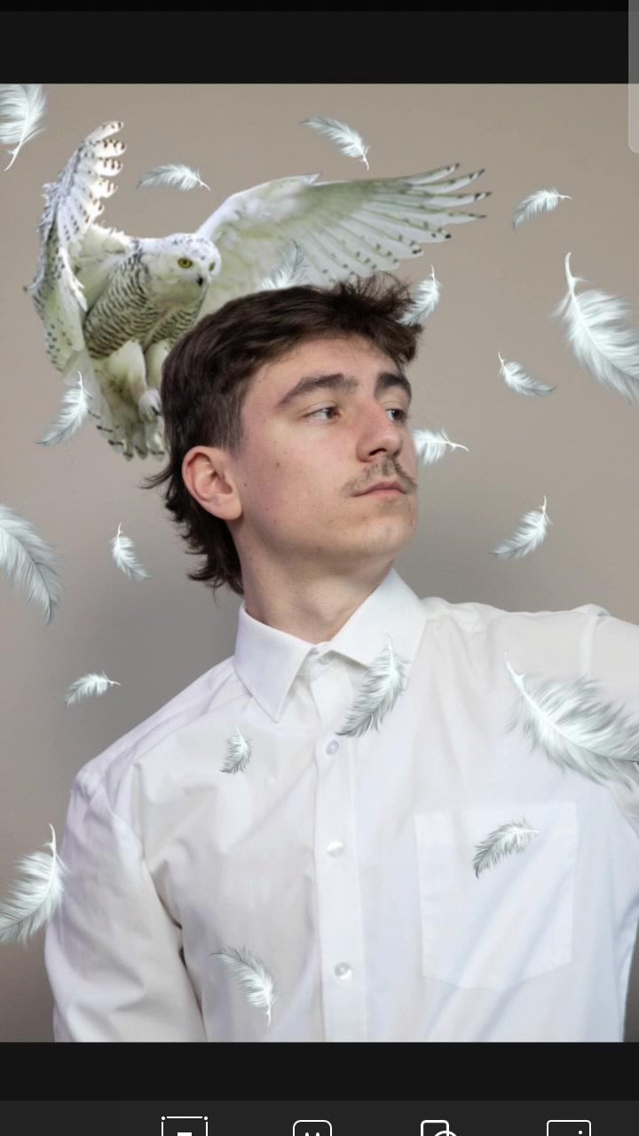 White Owl 🦉 #picsart #tutorial @Picsart AI Photo Editor, Video #owl #photography #edit