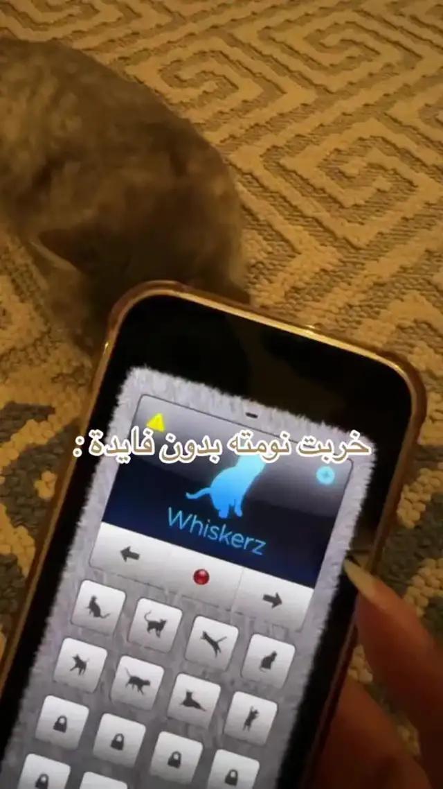 التحميل الان