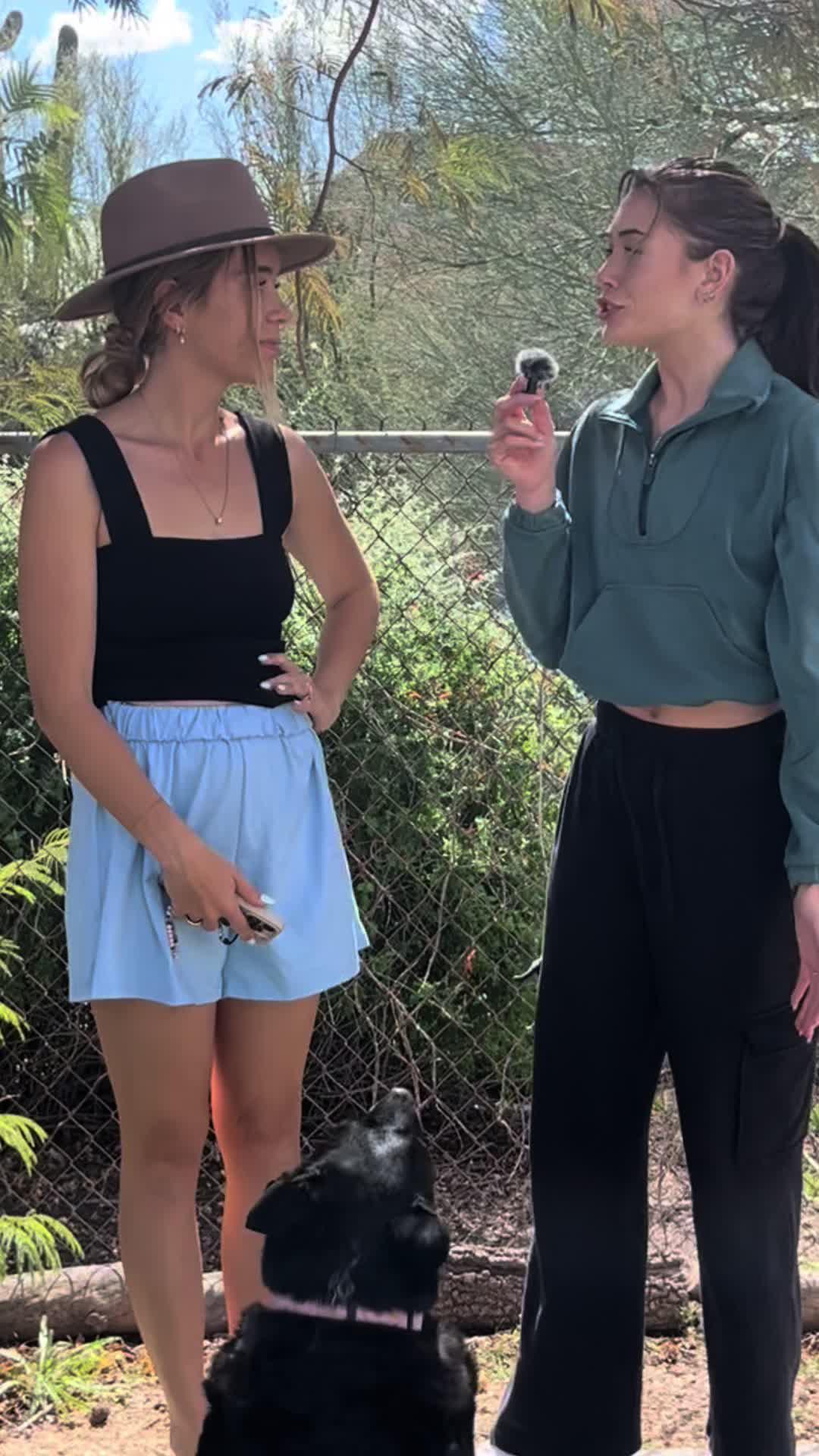 Invest and Conquer in Upland!