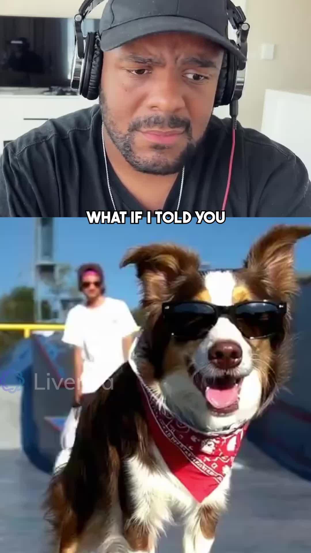 Create Al videos with your own words on mobile