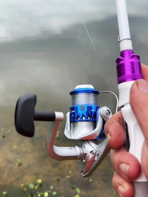 Temu gets the meat for free! 🔍 Use code: dnh5695 in the TEMU search bar for Free items and 🔗 in bio (App new users only with qualifying orders) Free shipping on items shipped from Temu, Free Returns for up to 90 days🎣 #fyp #catchcleanandcook #beardedfisherman #fishing #fish