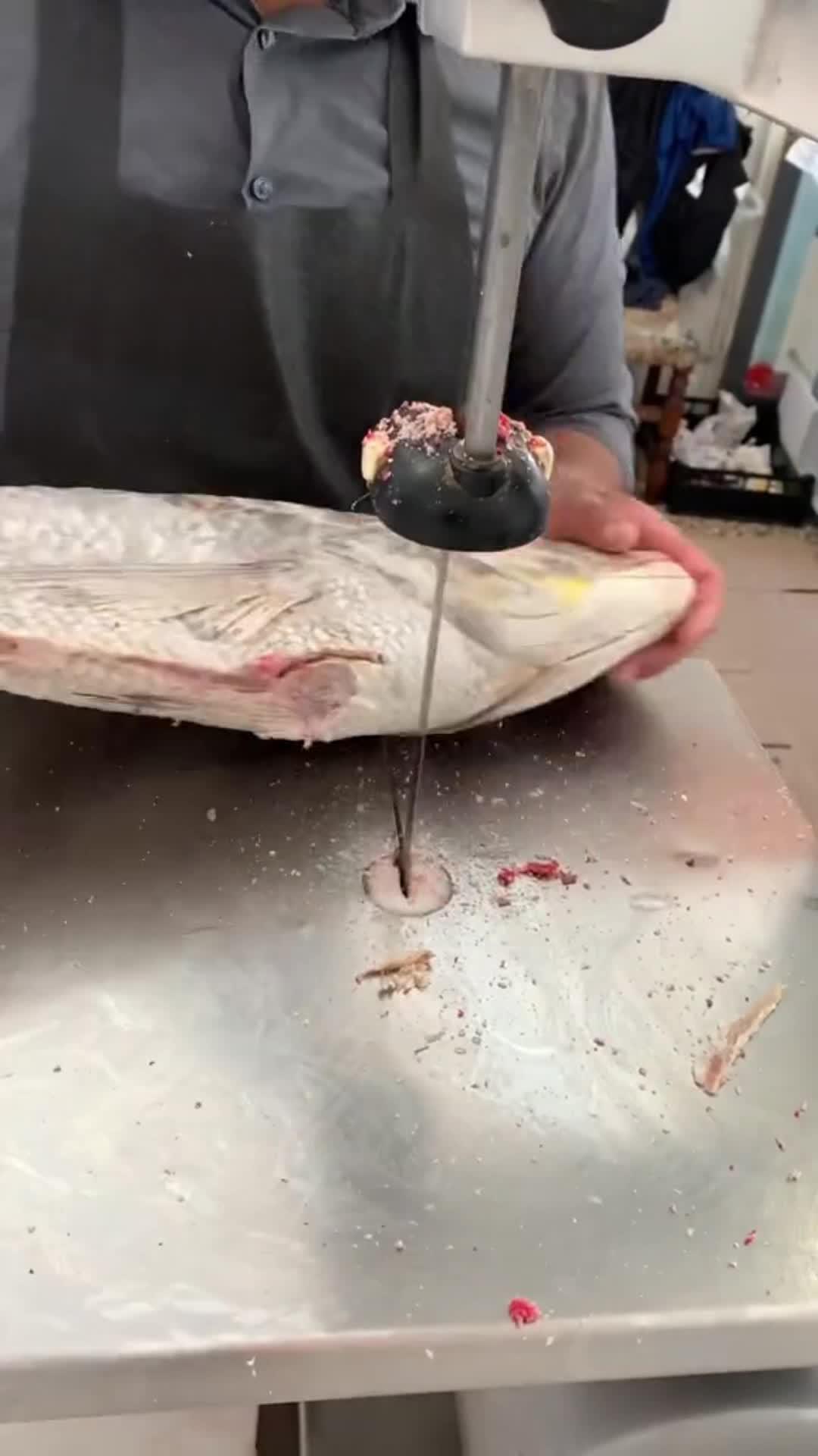 Free & Fun Simulation Game! Play Now!