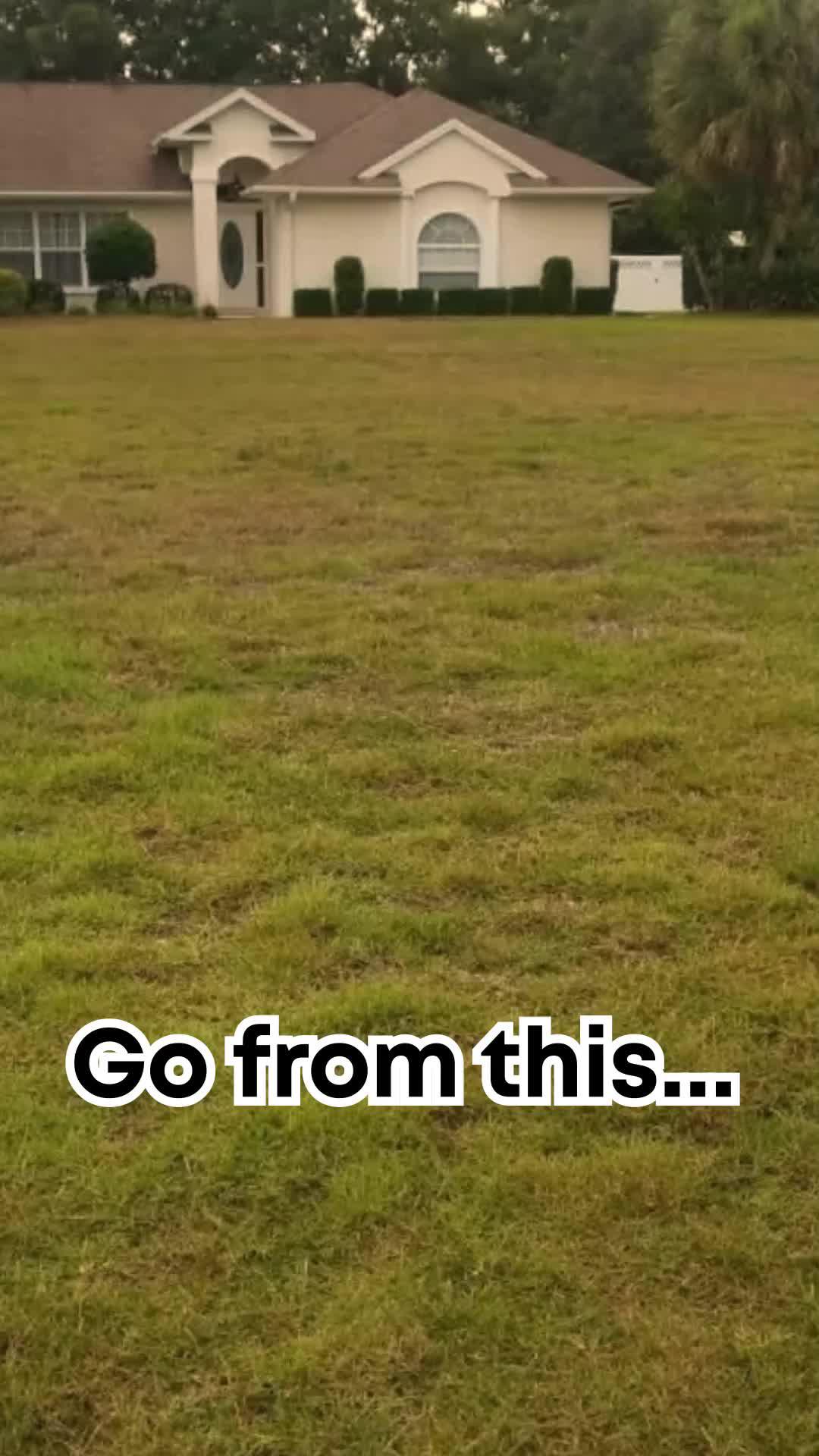 Track your plants' progress. Get personal notifications on plant care