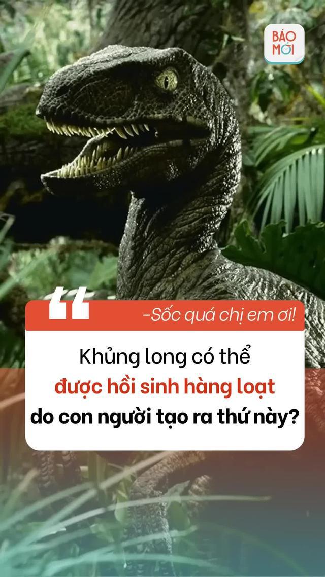 Con người vẫn đang tiếp tục tạo ra thứ này...