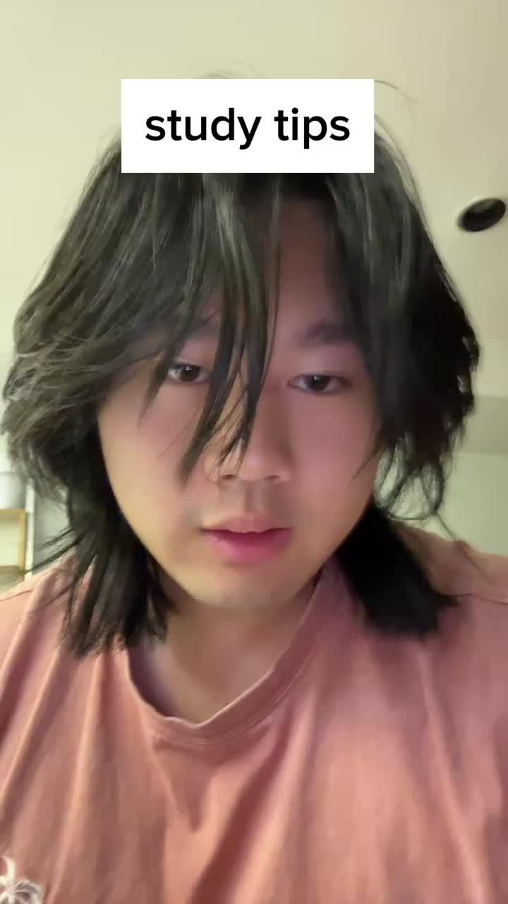 Download Studdy Now!