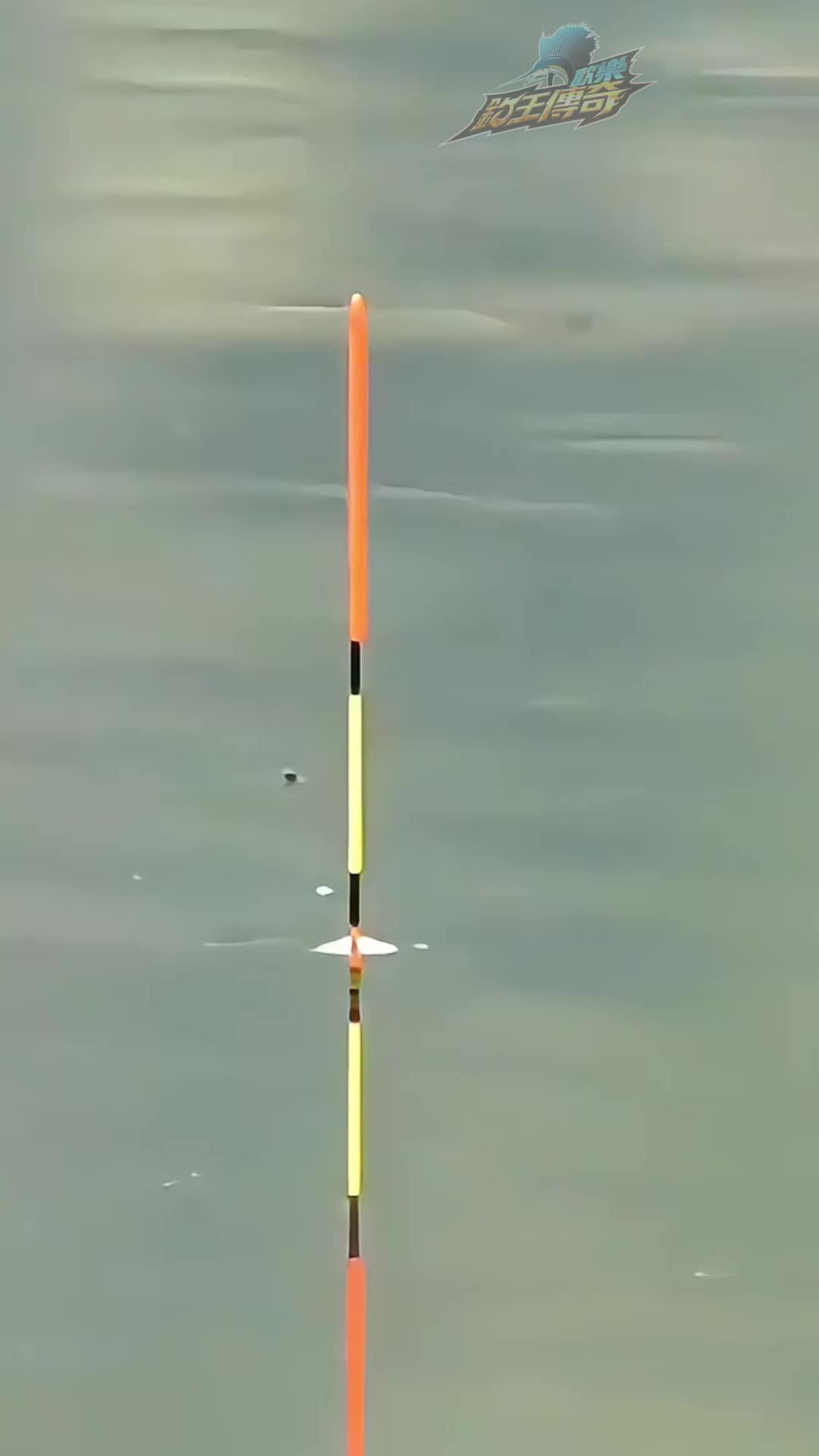 細膩逼真的3D畫面，帶你體驗釣魚的視覺盛宴！立即下載歡樂釣王傳奇！