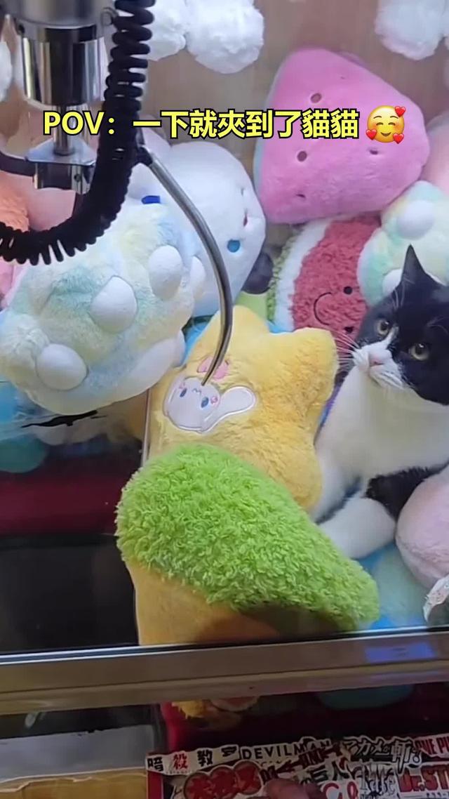 拒絕做一輩子打工仔 你能把火鍋店開到多大？