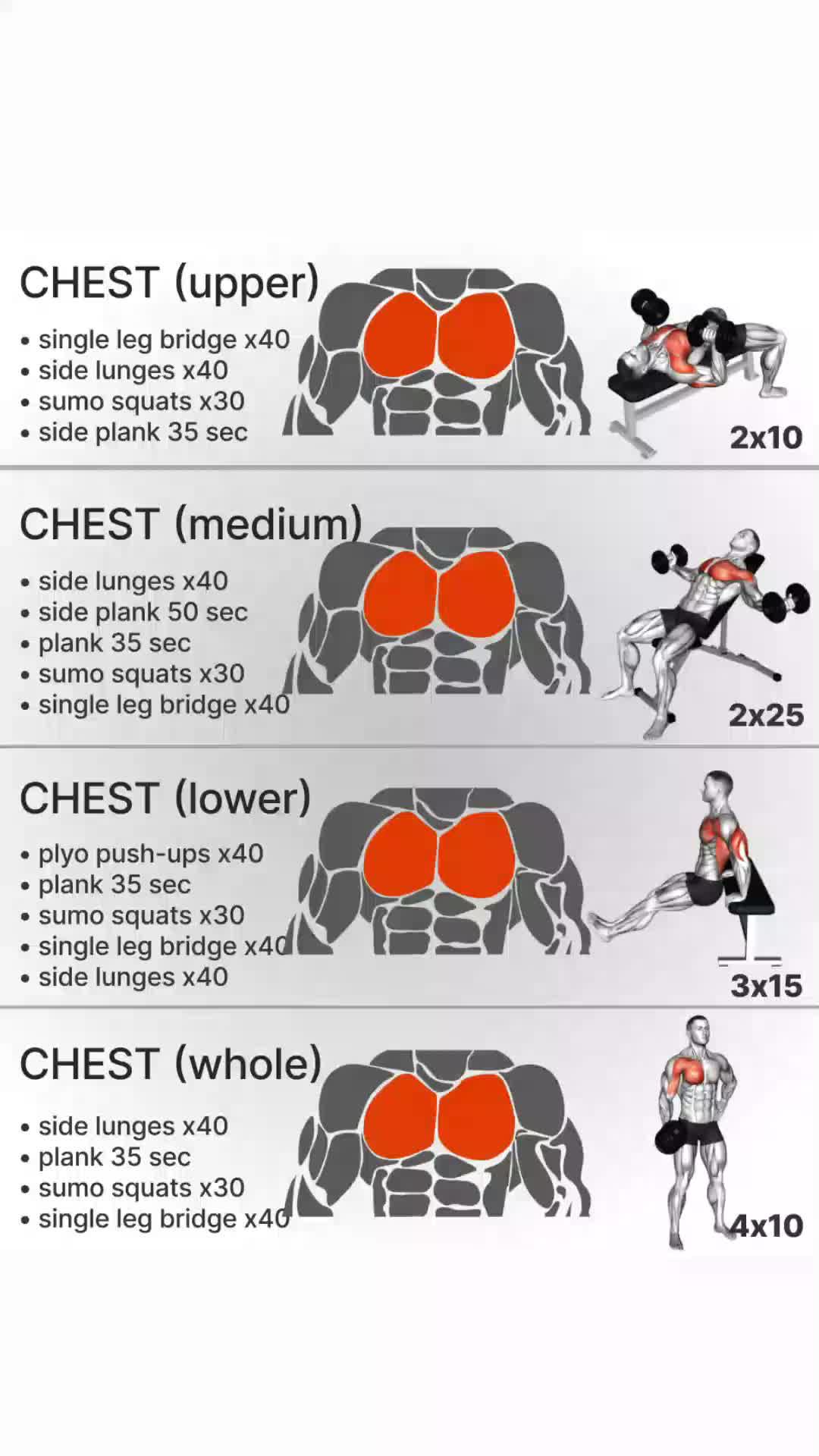 Looking for the right workout plan? We can help create a personalized workout plan for home and gym.