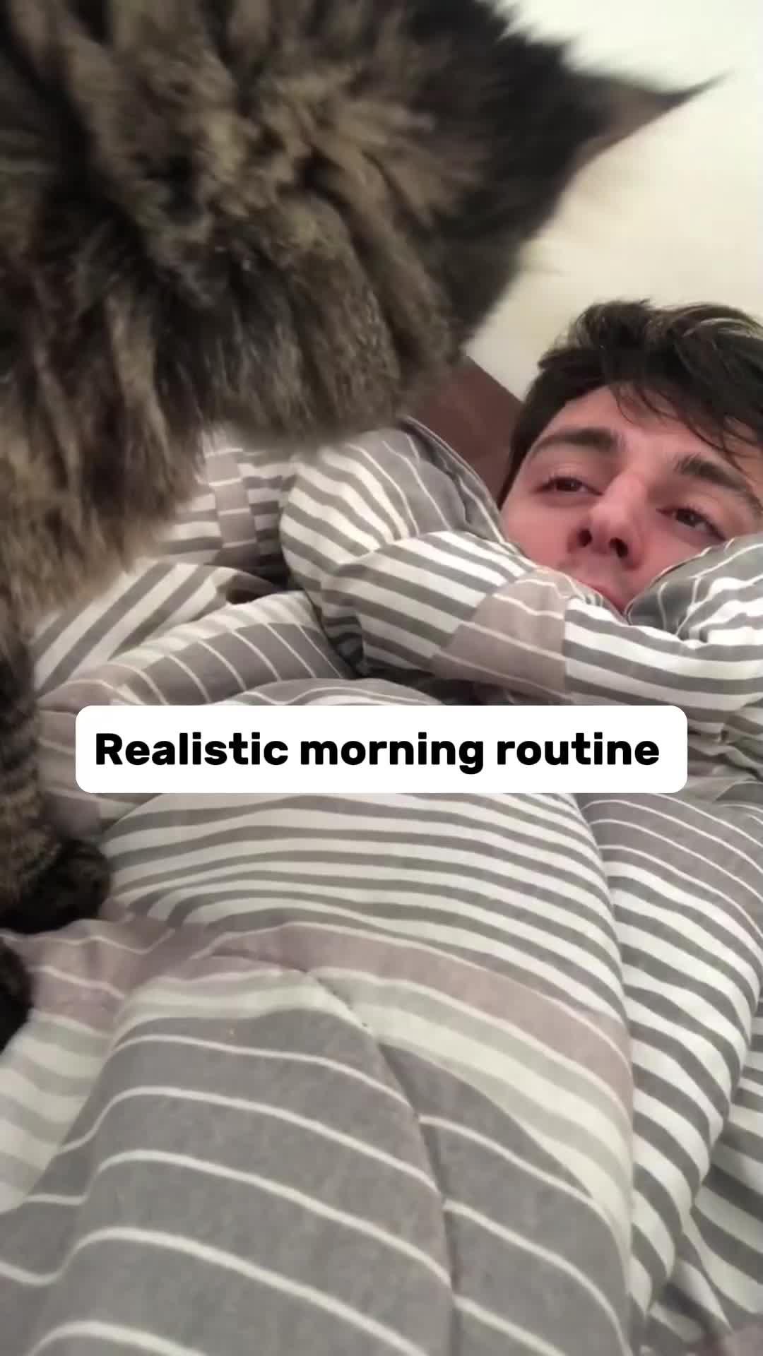 Daily Habits For Your Fabulous Life
