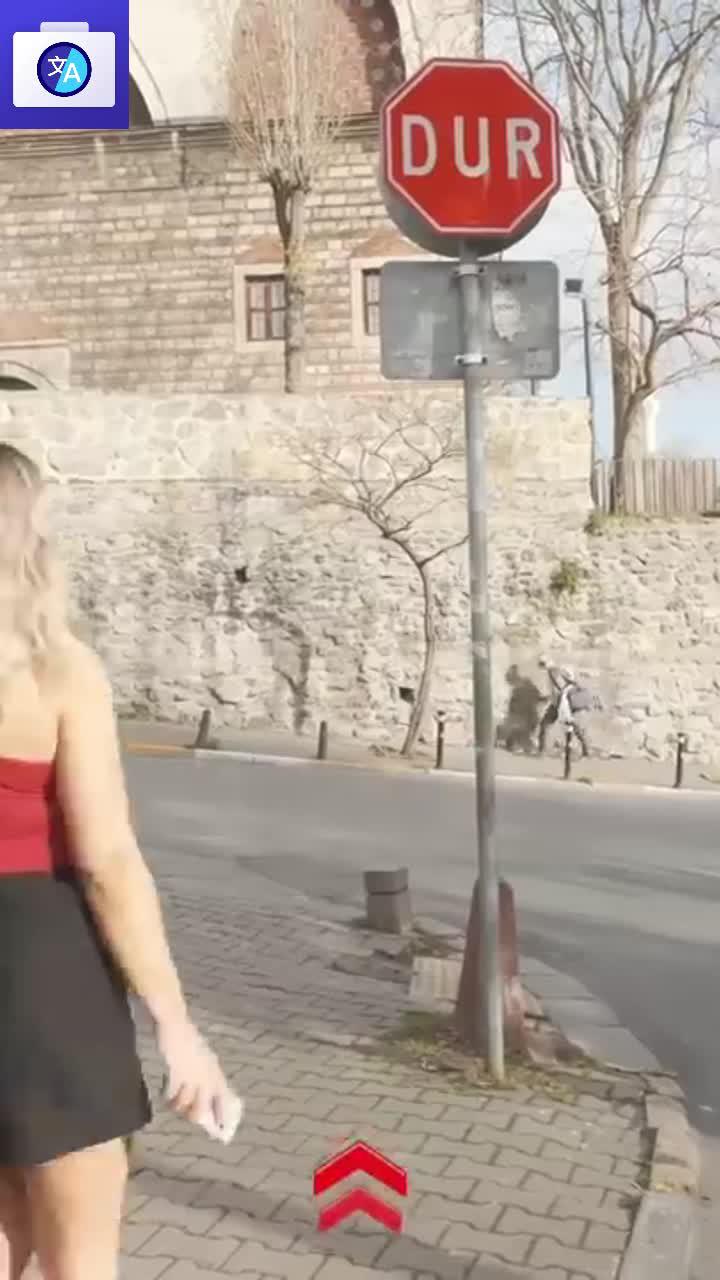 Just One Second. Speak and Translate All Languages Voice Translator