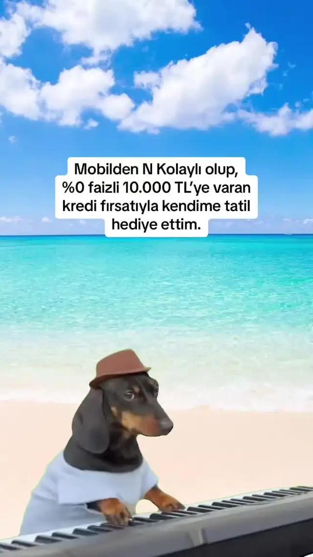 %0 Faizli 10.000 TL'ye Varan Kredi N Kolay'da!