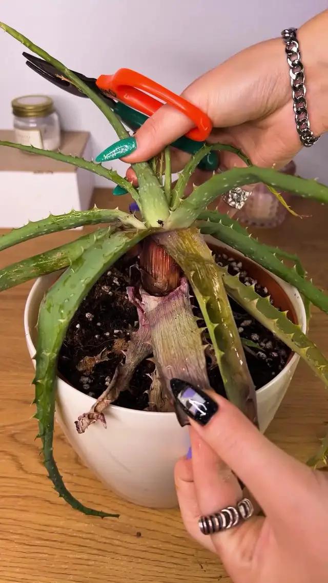 Yeşil yolculuğunuz burada başlıyor! 