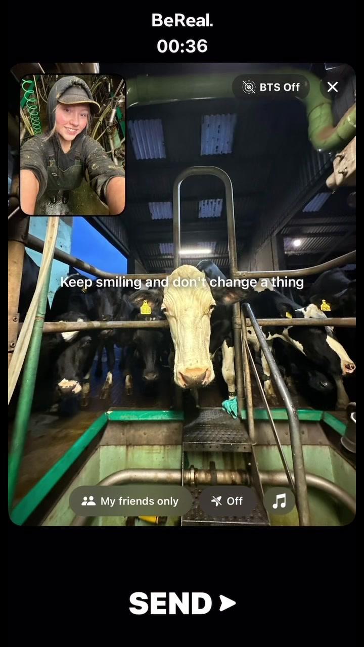 The cow goes moooooh